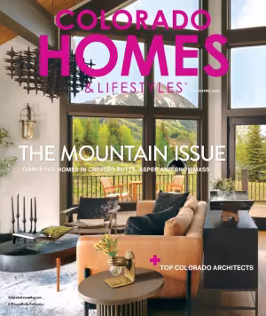 Magazine cover of a modern living room with a mountain view.